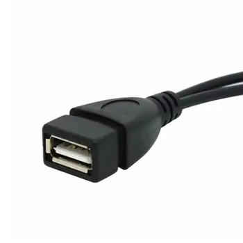 3 ZVEZDIŠČE USB LAN Ethernet Adapter + OTG Kabel USB Za Ogenj, Palica 2. GEN ali Ogenj TV3 TV Palico 1080P (Full-Hd), ki Niso Vključeni ONLENY
